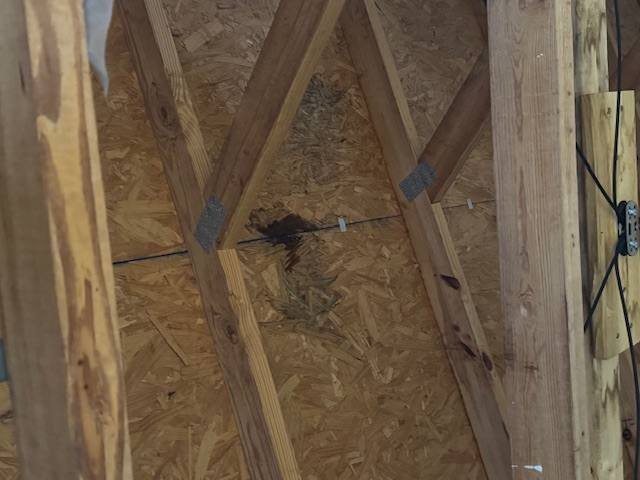 Water staining on attic roof decking from a leak that continued after a roof coating was applied, Nashville, Tennessee