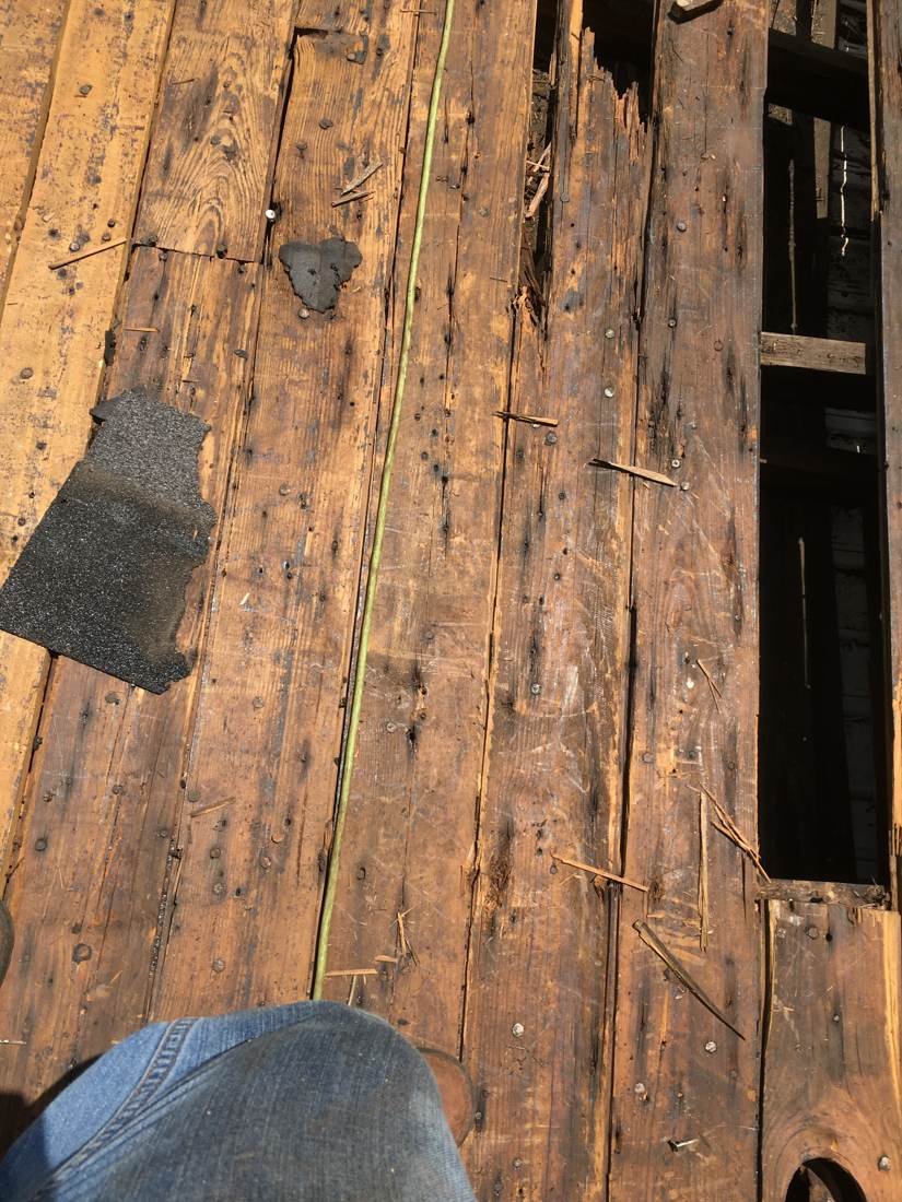 Close-up of rotted roof decking boards found during tear-off, Tennessee