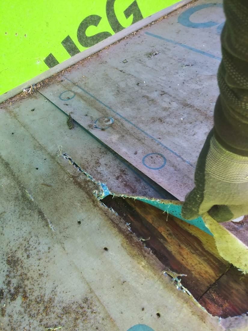 Torn roof underlayment exposing wood decking, damage caused by another trade during new construction at Creekside Elementary School in Franklin, Tennessee
