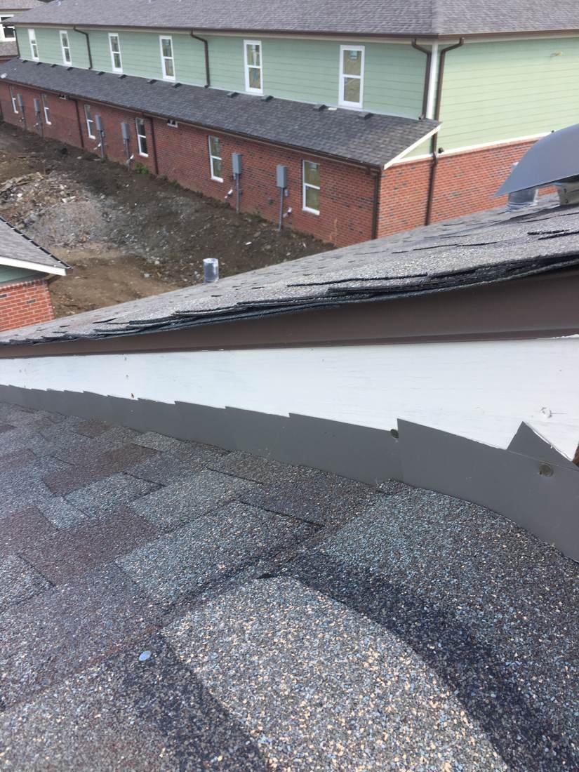 Curled and lifted starter shingle along a roof edge found during an inspection