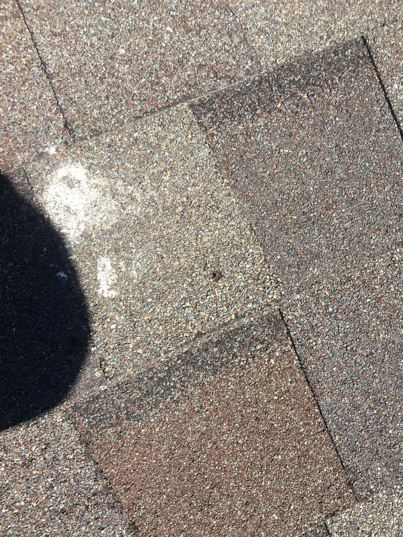 A discolored spot on a roof shingle found during a GEJ Roofing inspection