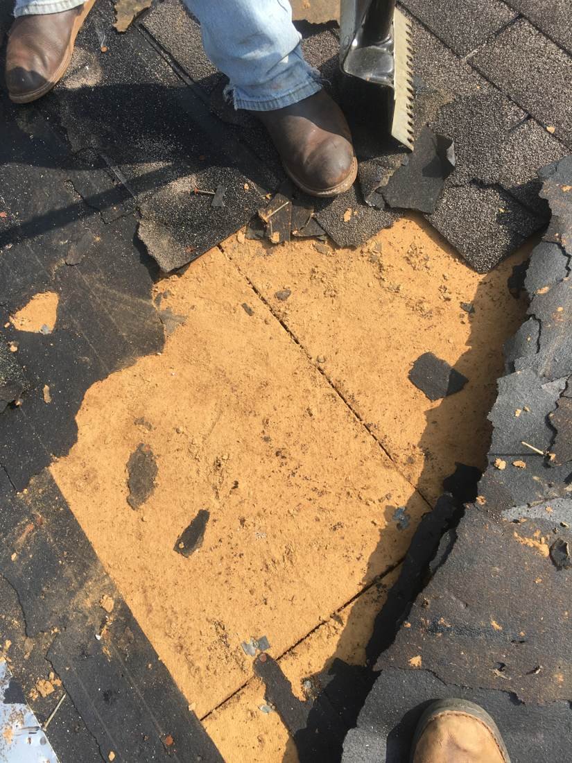 Damaged section of shingle roofing exposing decking at Shelbyville Recreation Center, Tennessee