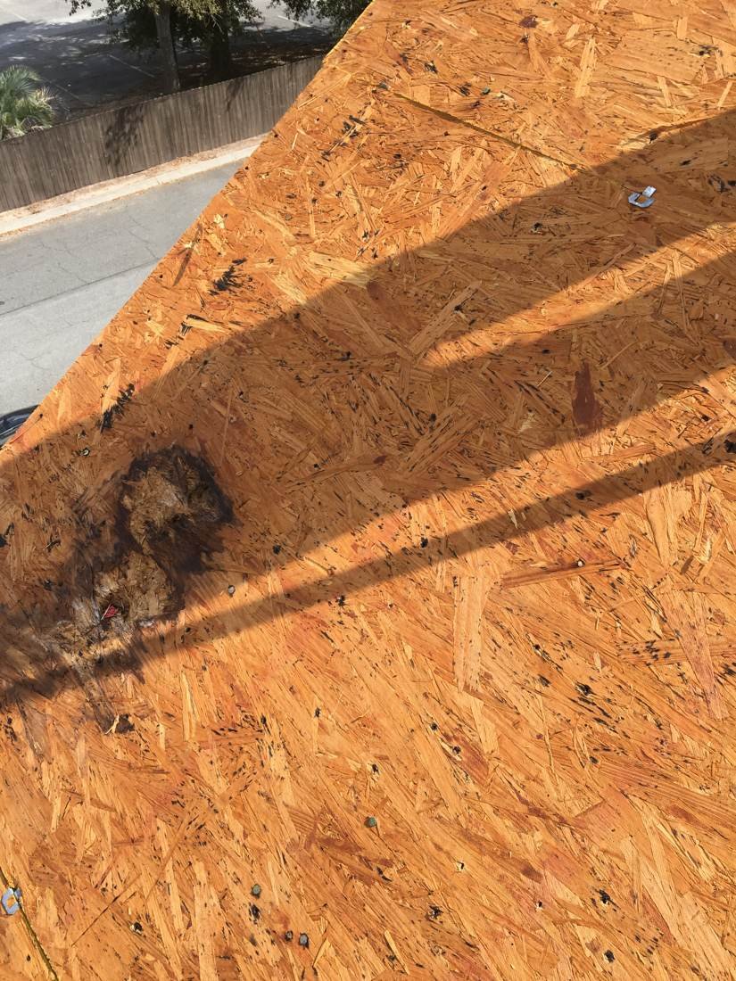 Rotted roof decking found during tear-off on an apartment complex reroof in Statesboro, Georgia