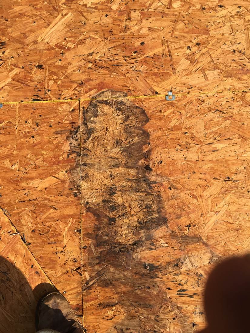 Large area of rotted roof decking discovered during tear-off on a Statesboro, Georgia apartment complex
